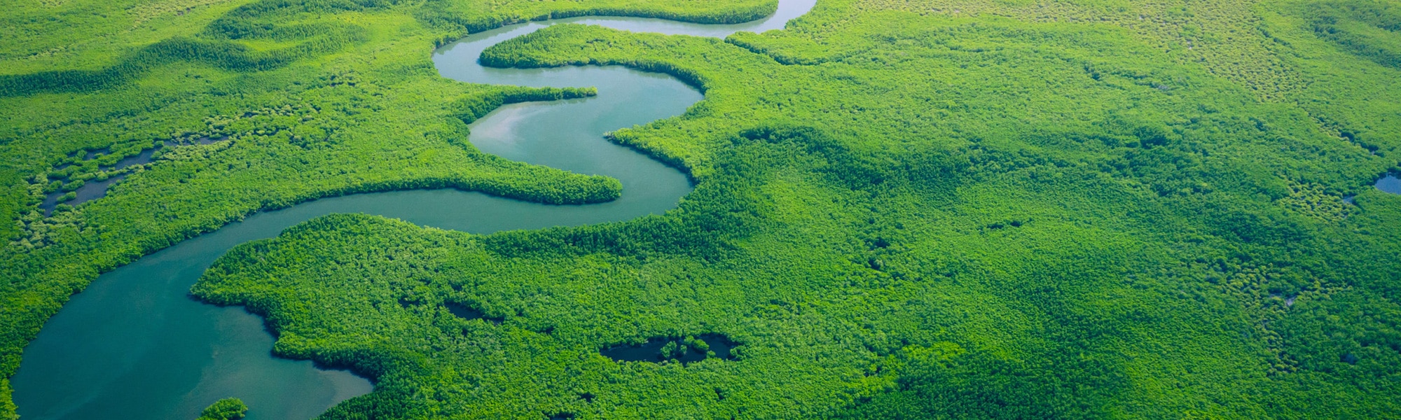 Luftaufnahme einer grünen Flusslandschaft